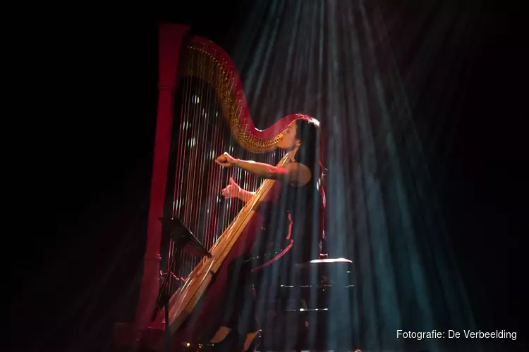 Zeewoldens Nieuwjaarsconcert door harpiste Lavinia Meijer