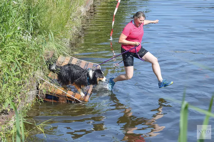 Dogsurvival Zeewolde – Zaterdag 2 juli: Samen met je hond klimmen, kruipen en zwemmen