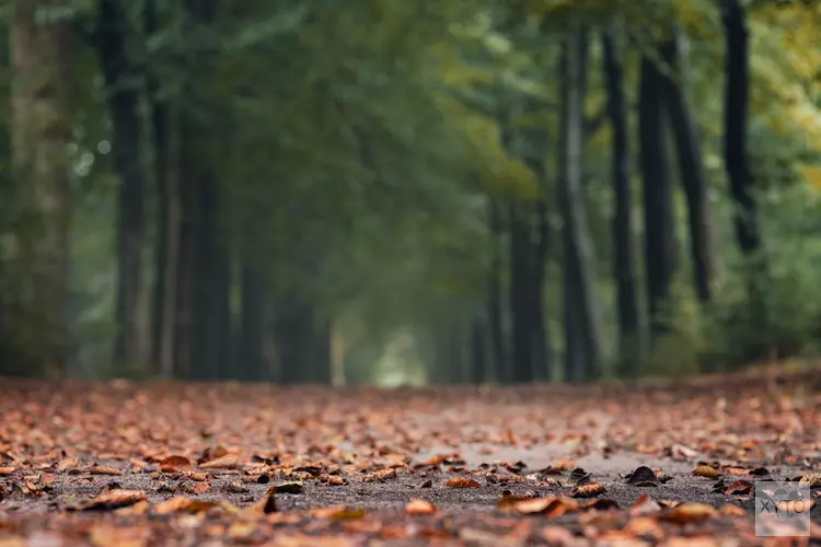 Wisselvallige week begint droog en zonnig, maar later grotere buienkans