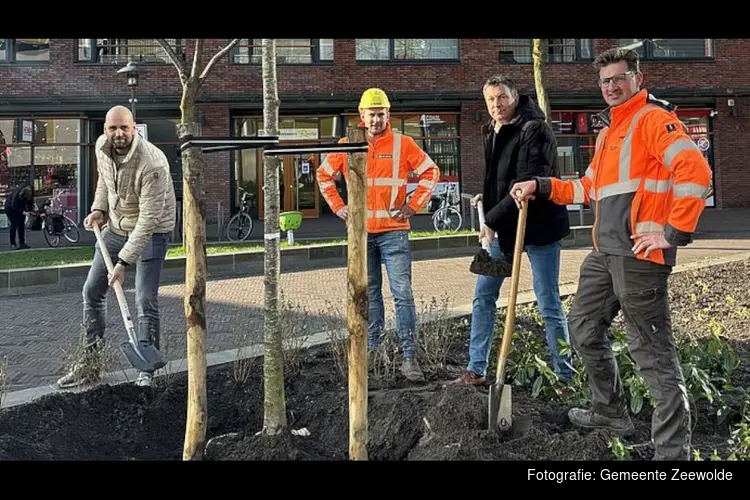 Laatste beplanting geplaatst in project centrumcarré